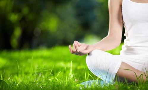 国产瑜伽福利视频在线,国产瑜伽福利视频带你轻松入门